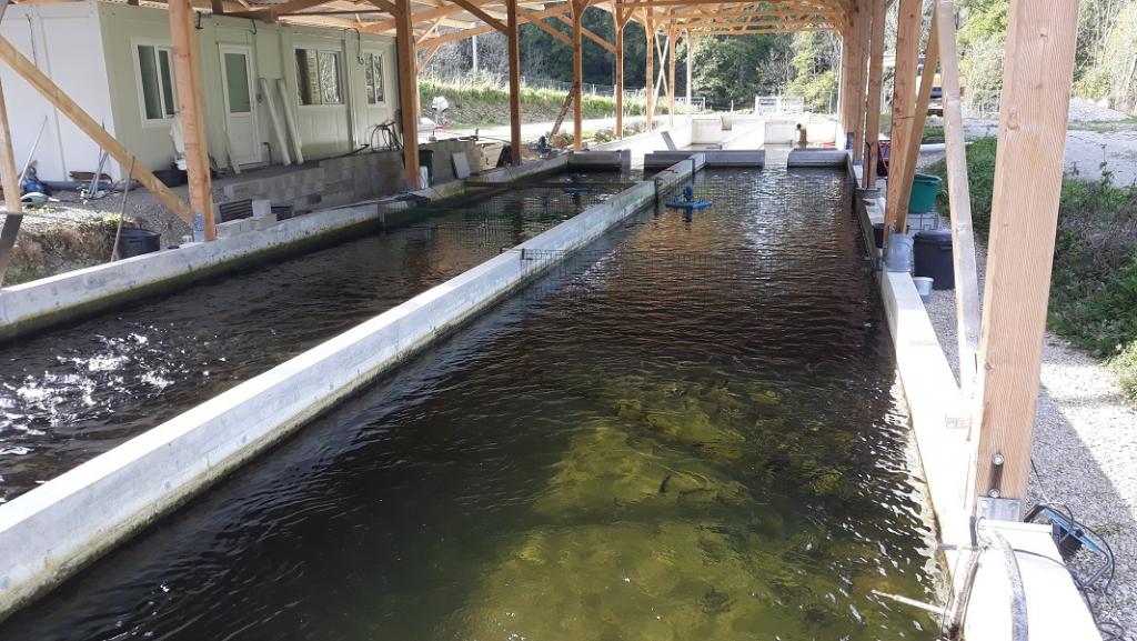 chantier écoresponsable de laboratoire pisciculture